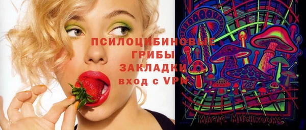 apvp Алзамай