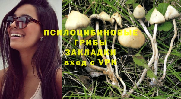 spice Абинск